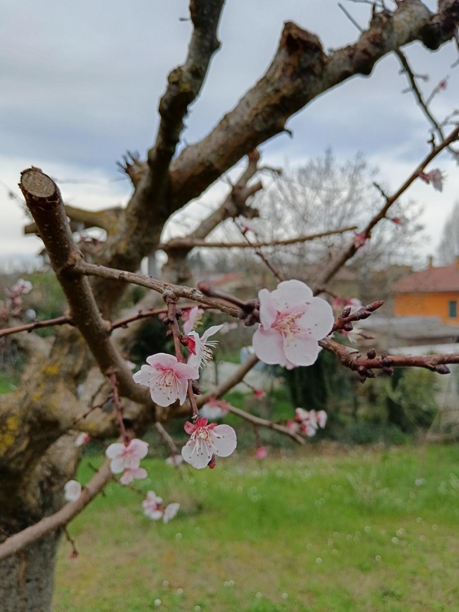 Il Giramondo Montelabbate Esterno foto