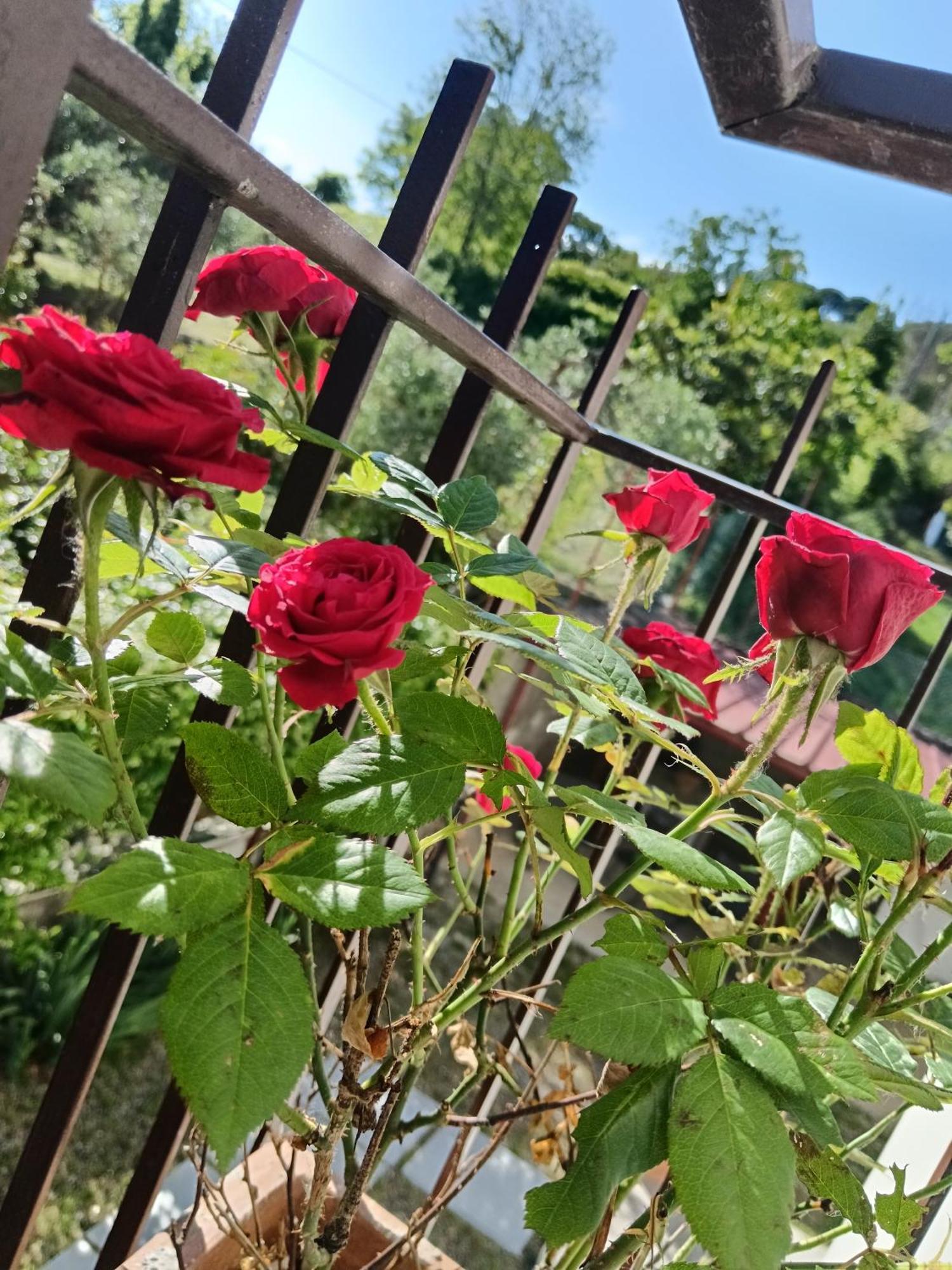 Il Giramondo Montelabbate Esterno foto
